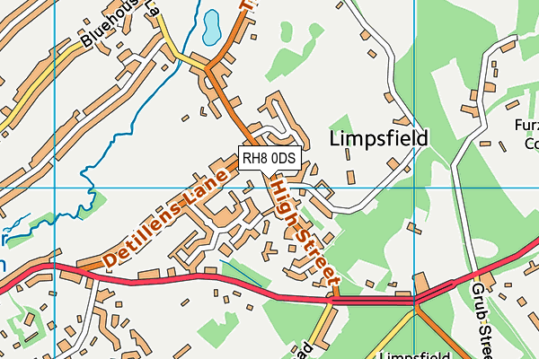 RH8 0DS map - OS VectorMap District (Ordnance Survey)