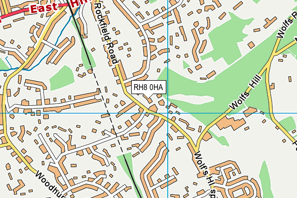 RH8 0HA map - OS VectorMap District (Ordnance Survey)