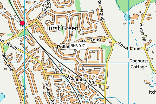 RH8 0JG map - OS VectorMap District (Ordnance Survey)