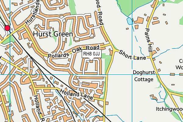 RH8 0JJ map - OS VectorMap District (Ordnance Survey)