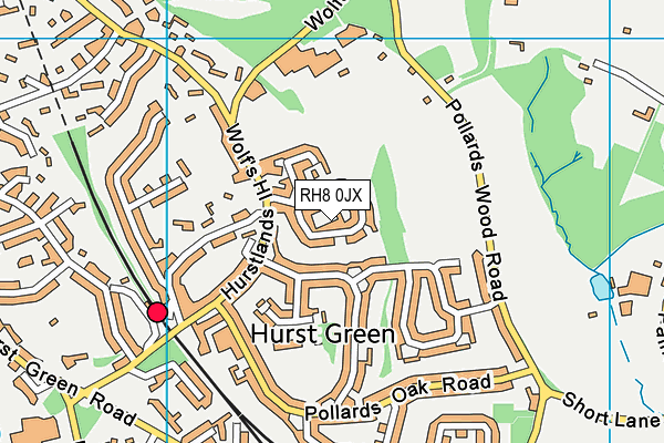 RH8 0JX map - OS VectorMap District (Ordnance Survey)