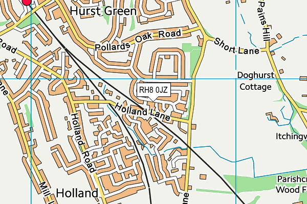 RH8 0JZ map - OS VectorMap District (Ordnance Survey)