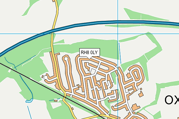 RH8 0LY map - OS VectorMap District (Ordnance Survey)