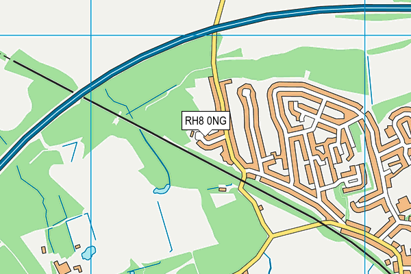 RH8 0NG map - OS VectorMap District (Ordnance Survey)