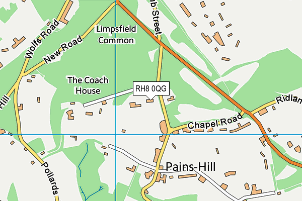 RH8 0QG map - OS VectorMap District (Ordnance Survey)