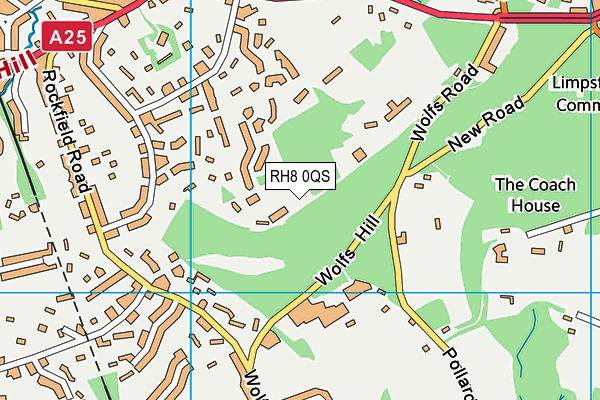 RH8 0QS map - OS VectorMap District (Ordnance Survey)