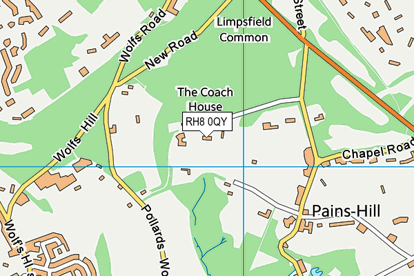 RH8 0QY map - OS VectorMap District (Ordnance Survey)