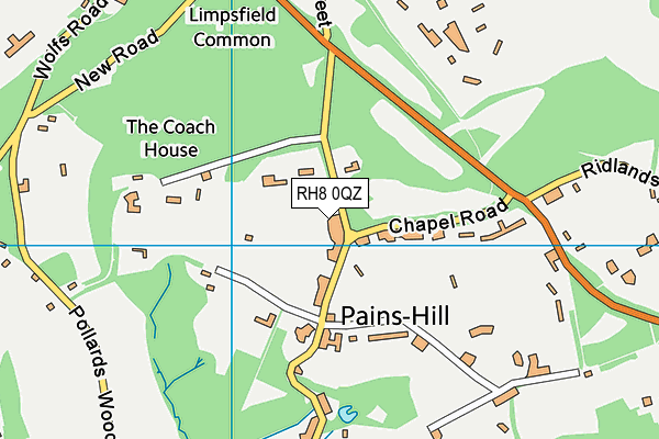 RH8 0QZ map - OS VectorMap District (Ordnance Survey)