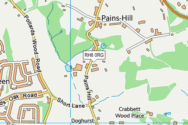 RH8 0RG map - OS VectorMap District (Ordnance Survey)