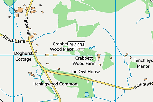 RH8 0RJ map - OS VectorMap District (Ordnance Survey)