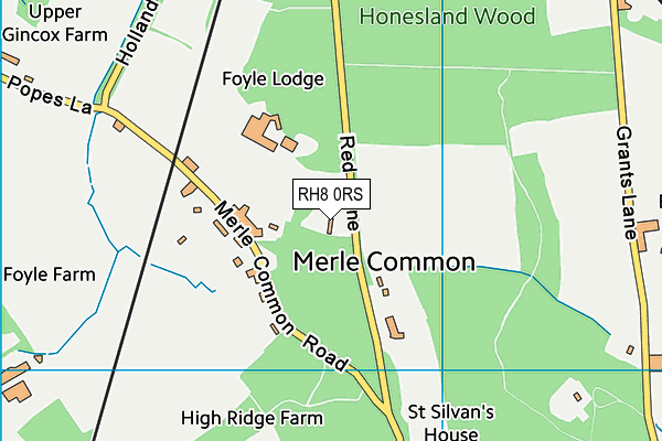 RH8 0RS map - OS VectorMap District (Ordnance Survey)