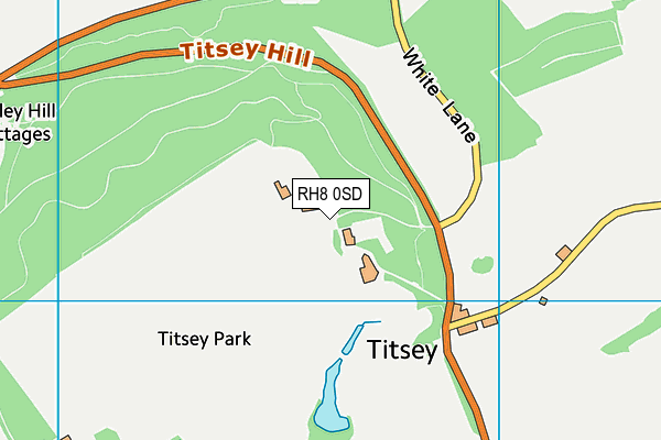 RH8 0SD map - OS VectorMap District (Ordnance Survey)