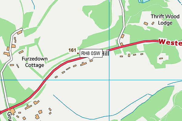 RH8 0SW map - OS VectorMap District (Ordnance Survey)
