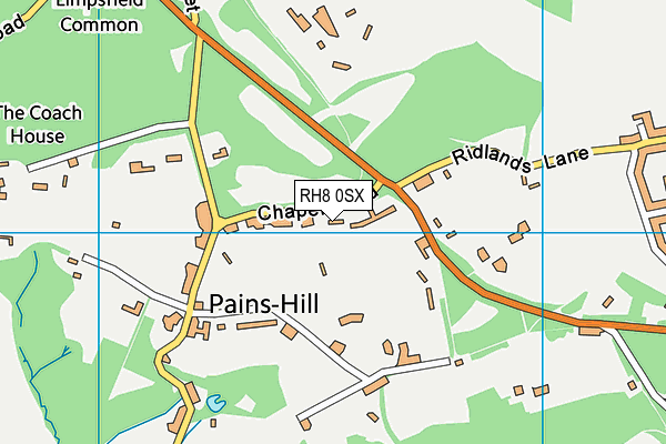 RH8 0SX map - OS VectorMap District (Ordnance Survey)