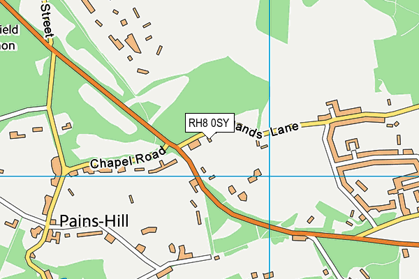 RH8 0SY map - OS VectorMap District (Ordnance Survey)