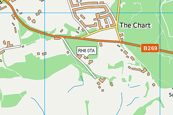 RH8 0TA map - OS VectorMap District (Ordnance Survey)