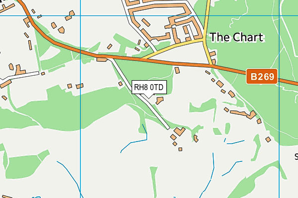 RH8 0TD map - OS VectorMap District (Ordnance Survey)