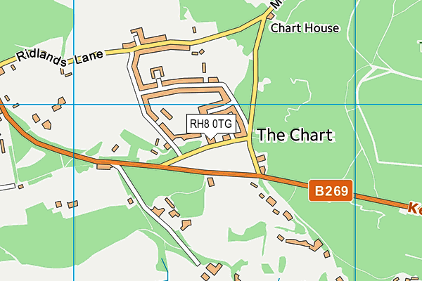 RH8 0TG map - OS VectorMap District (Ordnance Survey)
