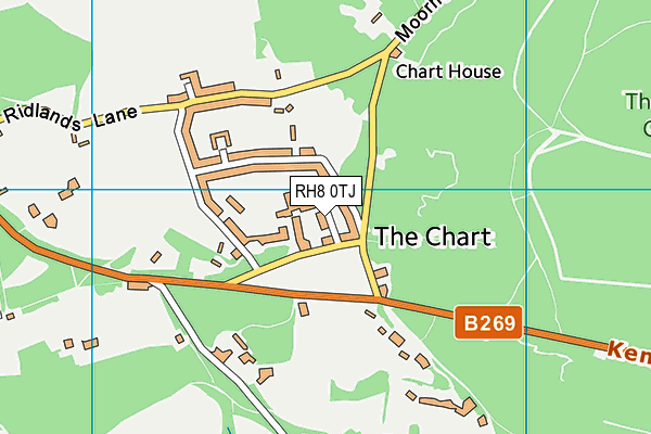 RH8 0TJ map - OS VectorMap District (Ordnance Survey)