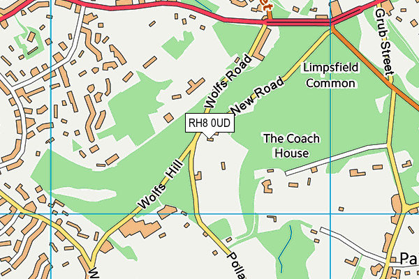 RH8 0UD map - OS VectorMap District (Ordnance Survey)