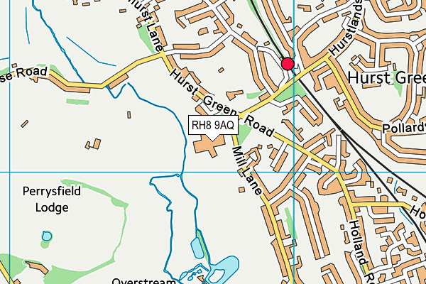 RH8 9AQ map - OS VectorMap District (Ordnance Survey)