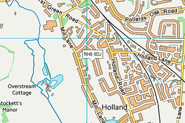 RH8 9DJ map - OS VectorMap District (Ordnance Survey)