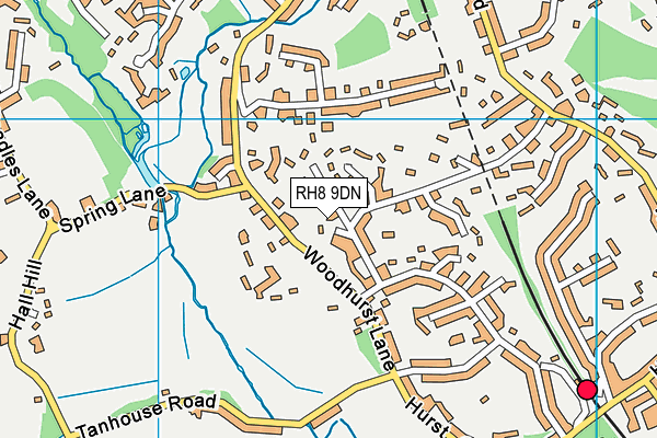 RH8 9DN map - OS VectorMap District (Ordnance Survey)