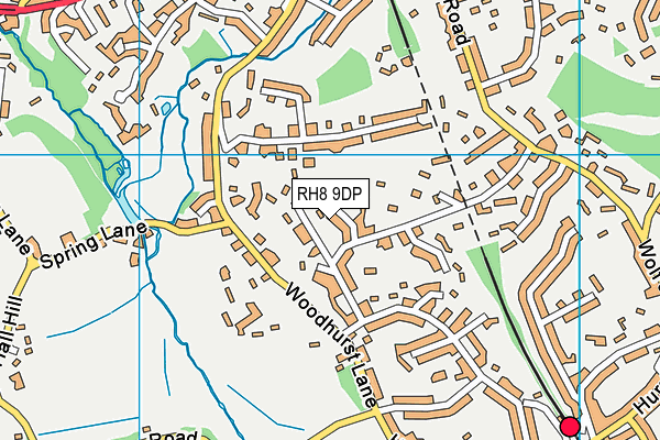 RH8 9DP map - OS VectorMap District (Ordnance Survey)