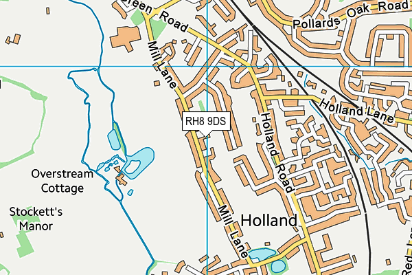 RH8 9DS map - OS VectorMap District (Ordnance Survey)