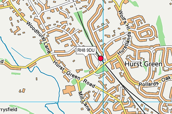 RH8 9DU map - OS VectorMap District (Ordnance Survey)