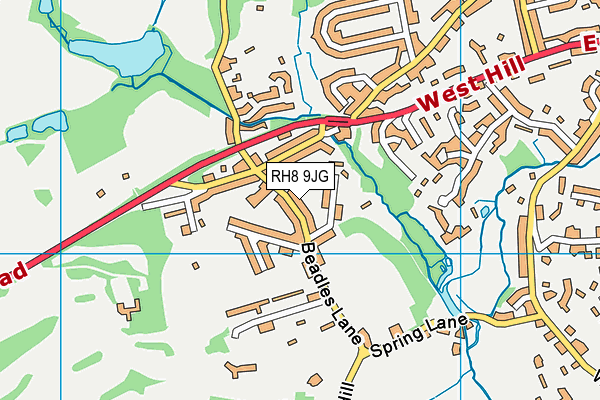 RH8 9JG map - OS VectorMap District (Ordnance Survey)