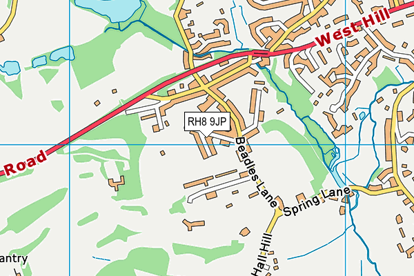 RH8 9JP map - OS VectorMap District (Ordnance Survey)