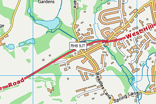 RH8 9JT map - OS VectorMap District (Ordnance Survey)