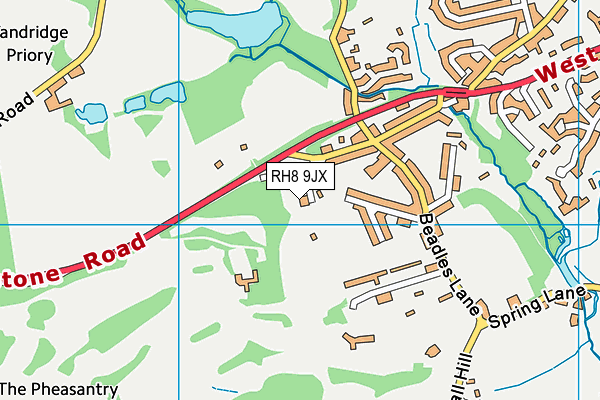 Bushey Croft Playing Field map (RH8 9JX) - OS VectorMap District (Ordnance Survey)