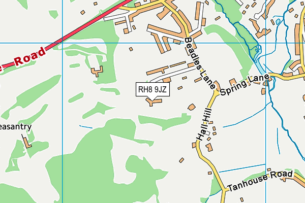 RH8 9JZ map - OS VectorMap District (Ordnance Survey)