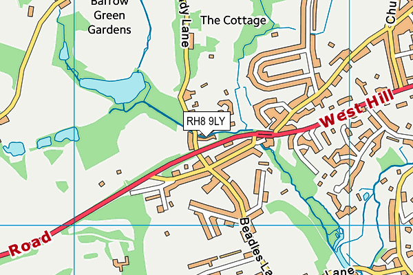 RH8 9LY map - OS VectorMap District (Ordnance Survey)