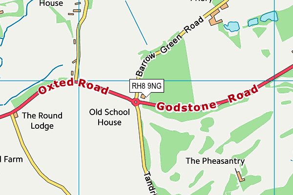 RH8 9NG map - OS VectorMap District (Ordnance Survey)