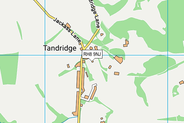 RH8 9NJ map - OS VectorMap District (Ordnance Survey)
