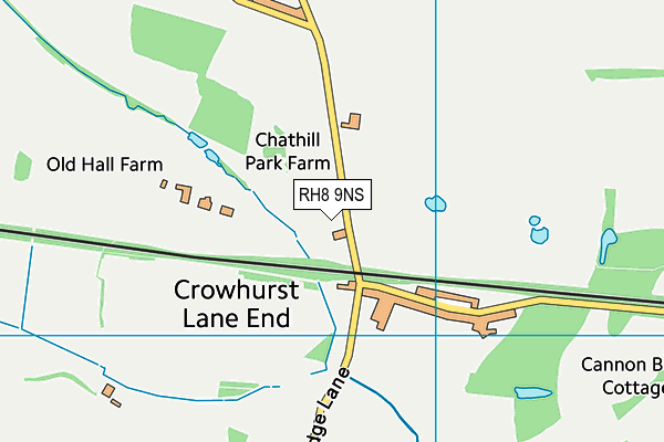 RH8 9NS map - OS VectorMap District (Ordnance Survey)