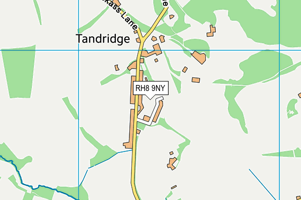 RH8 9NY map - OS VectorMap District (Ordnance Survey)