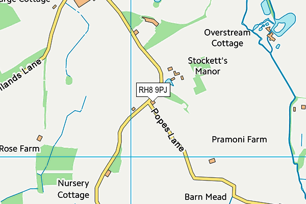 RH8 9PJ map - OS VectorMap District (Ordnance Survey)