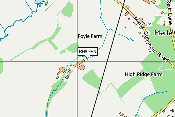 RH8 9PN map - OS VectorMap District (Ordnance Survey)