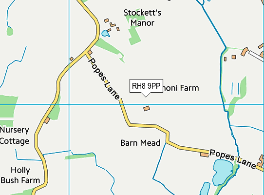 RH8 9PP map - OS VectorMap District (Ordnance Survey)