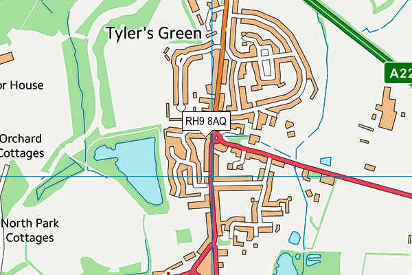 RH9 8AQ map - OS VectorMap District (Ordnance Survey)