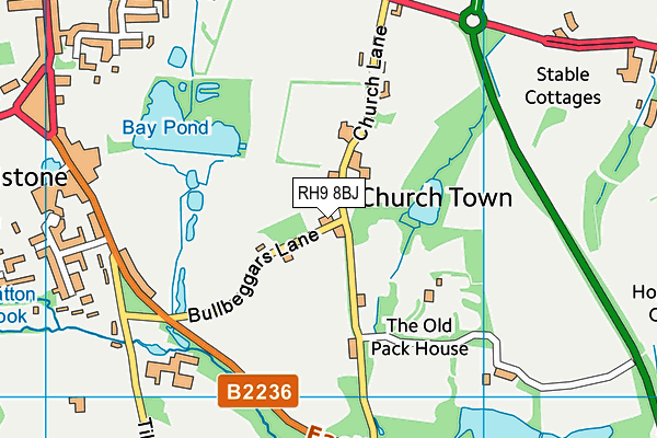 RH9 8BJ map - OS VectorMap District (Ordnance Survey)