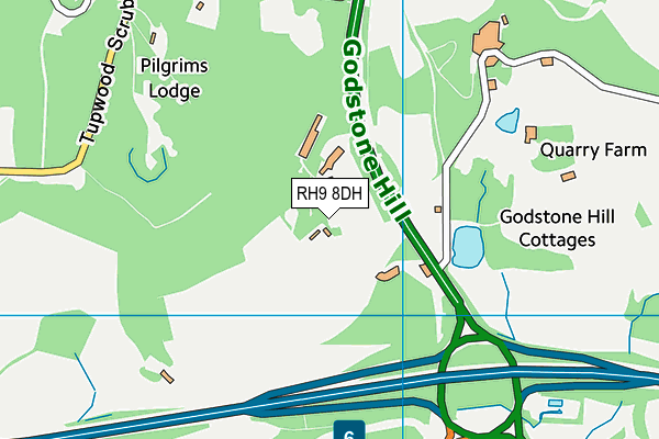 RH9 8DH map - OS VectorMap District (Ordnance Survey)