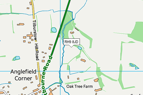 RH9 8JD map - OS VectorMap District (Ordnance Survey)