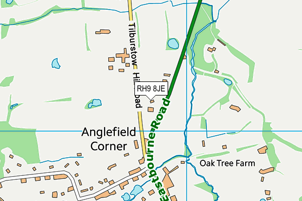 RH9 8JE map - OS VectorMap District (Ordnance Survey)