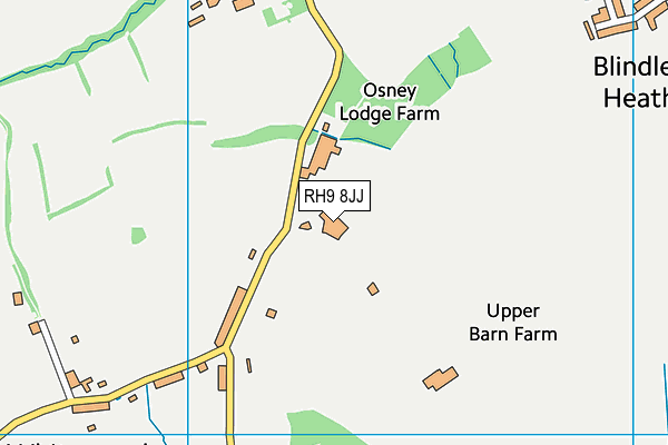 RH9 8JJ map - OS VectorMap District (Ordnance Survey)