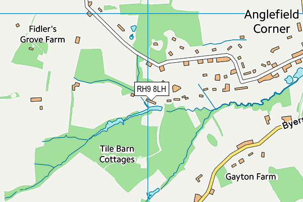 RH9 8LH map - OS VectorMap District (Ordnance Survey)